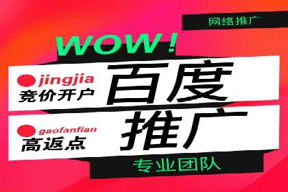 百度推广在电商行业的成功实践